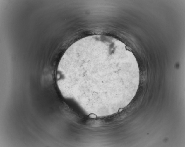 X0000100400503200807032017