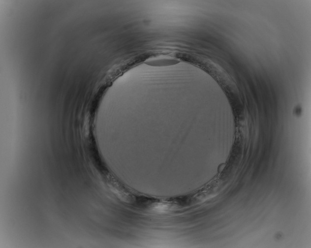 X0000100400504200807032017