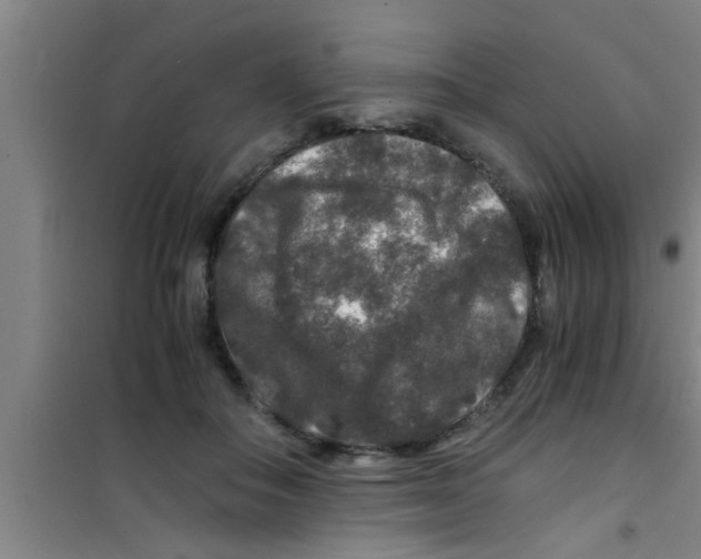 X0000100400506200807032017