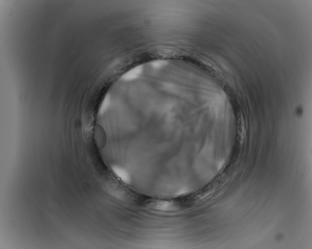 X0000100400507200807032017