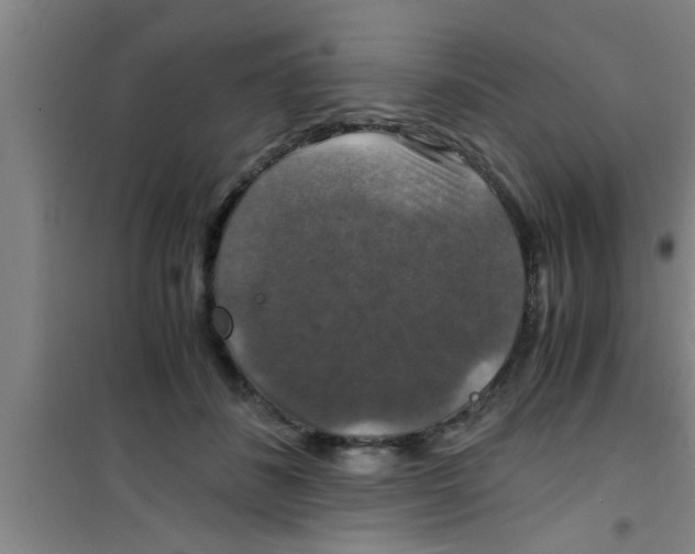 X0000100400508200807032017
