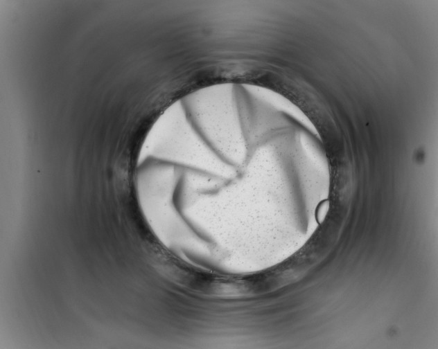 X0000100400510200807032017
