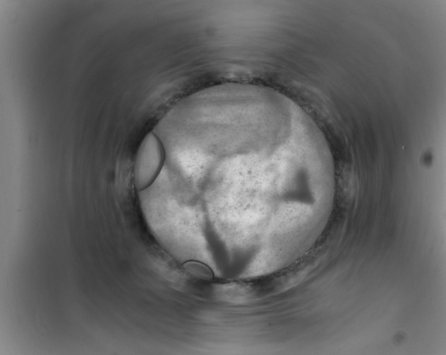 X0000100400511200807032017