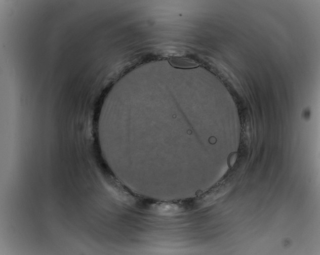 X0000100400512200807032017