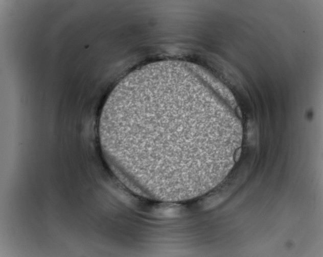 X0000100400514200807032017