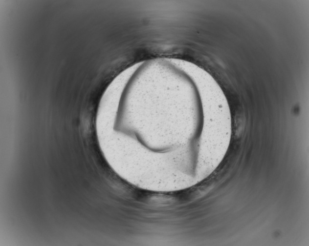 X0000100400515200807032017