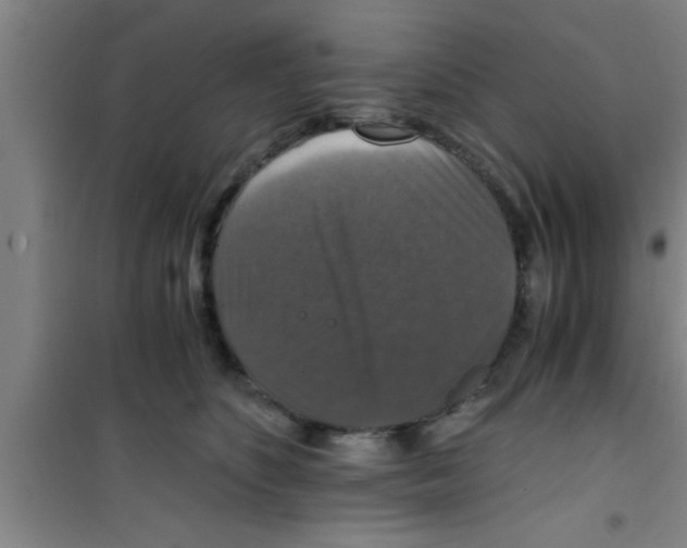 X0000100400516200807032017
