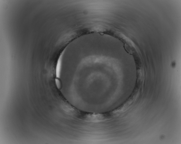 X0000100400517200807032017