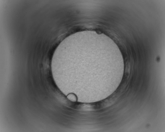 X0000100400518200807032017
