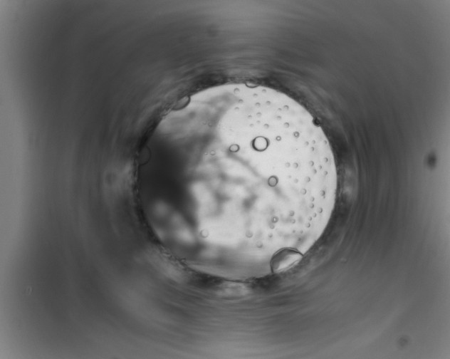 X0000100400519200807032017