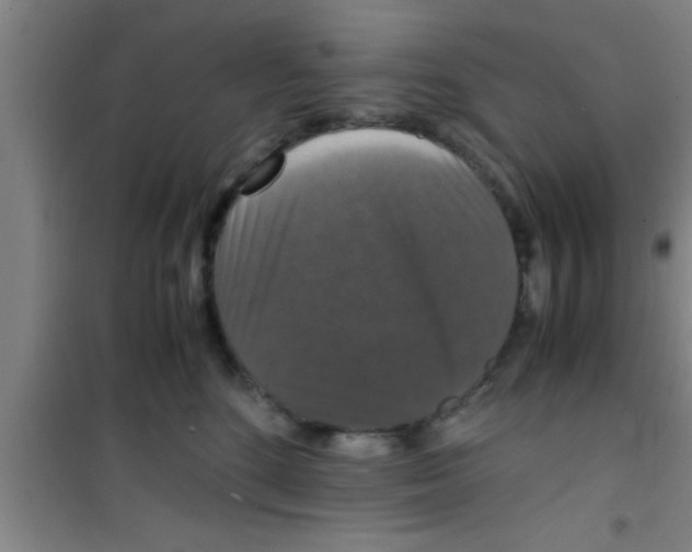 X0000100400520200807032017