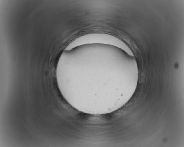 X0000100400521200807032017