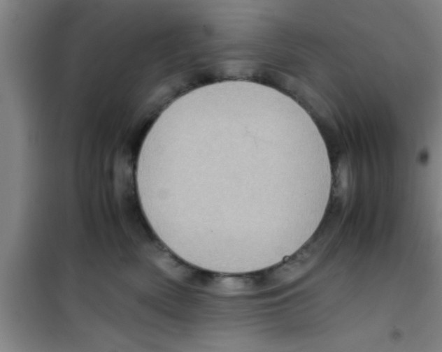 X0000100400522200807032017