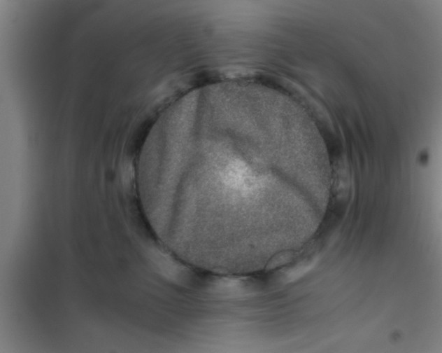 X0000100400523200807032017