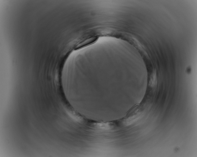 X0000100400524200807032017