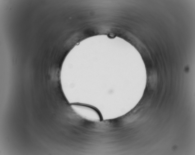X0000100400525200807032017
