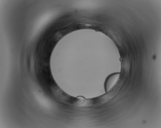 X0000100400526200807032017