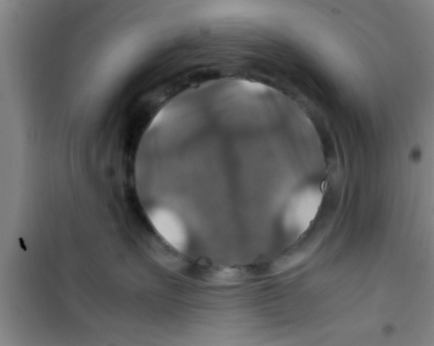 X0000100400527200807032016
