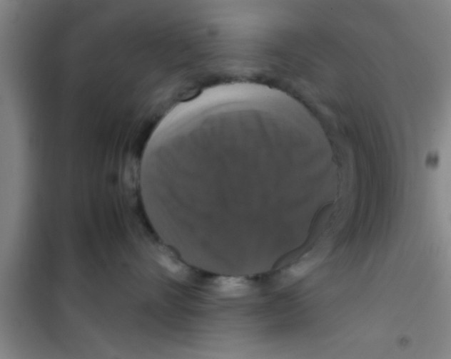 X0000100400528200807032016