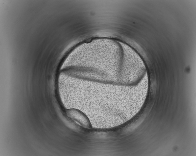 X0000100400530200807032016