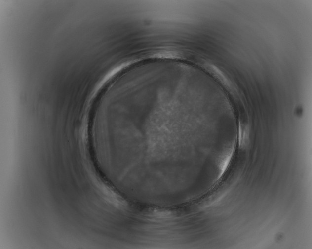 X0000100400531200807032016