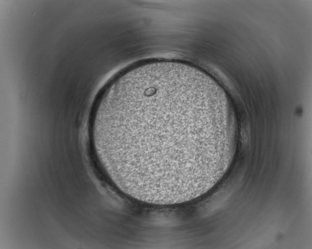 X0000100400532200807032016