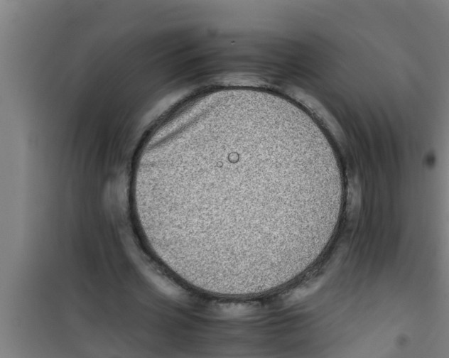 X0000100400533200807032016