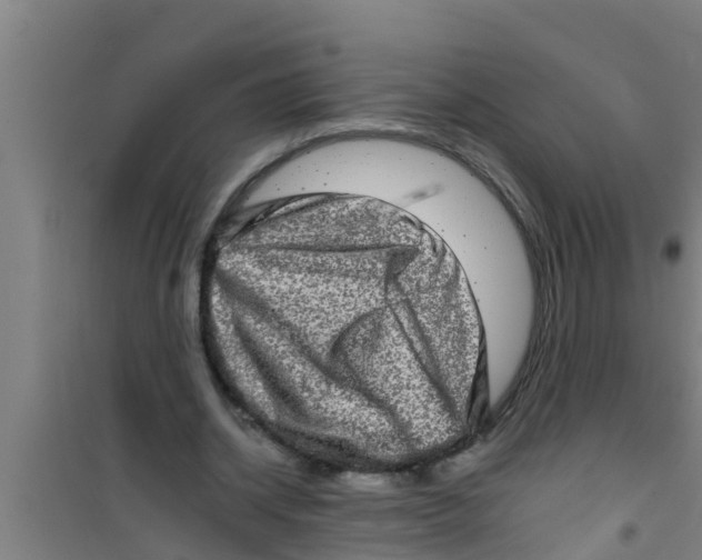 X0000100400534200807032016