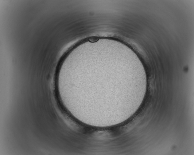 X0000100400536200807032016