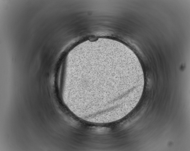 X0000100400539200807032016
