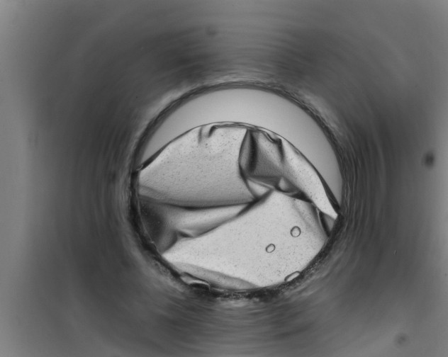 X0000100400540200807032016