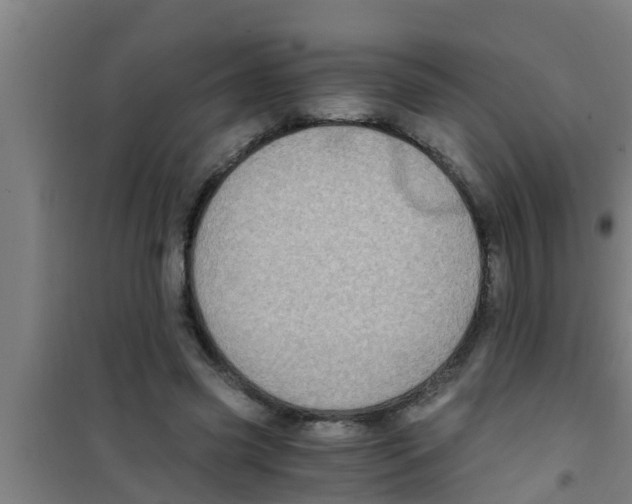 X0000100400541200807032016