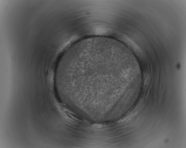 X0000100400542200807032016