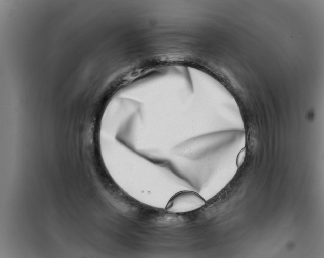 X0000100400543200807032016