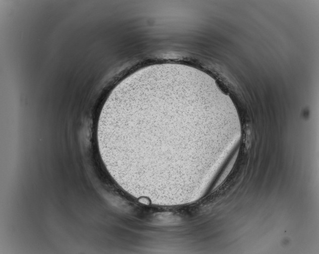 X0000100400544200807032016