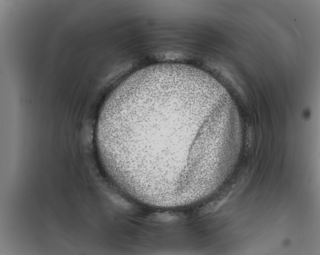 X0000100400545200807032016