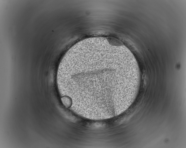 X0000100400546200807032016