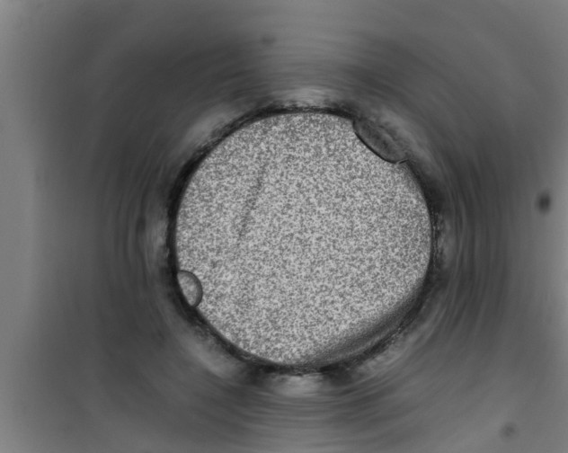 X0000100400548200807032016