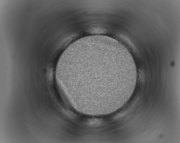 X0000100400549200807032016
