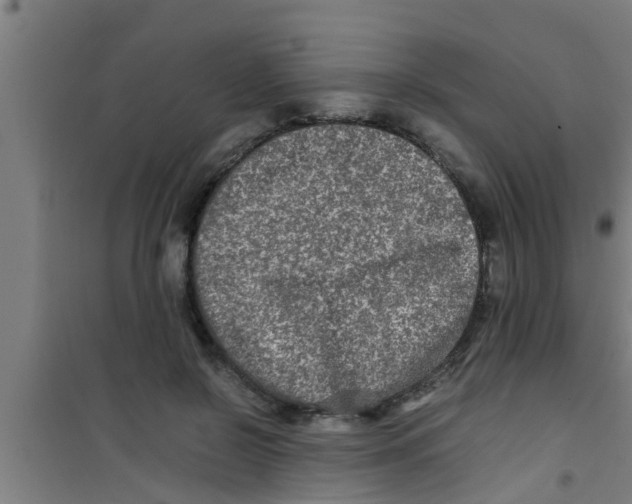 X0000100400550200807032016