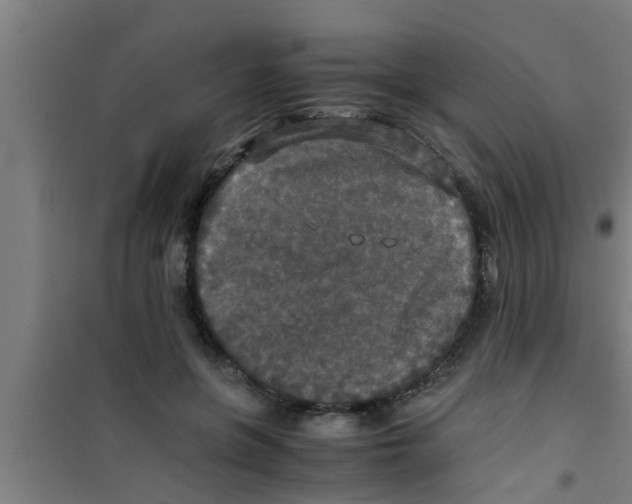 X0000100400551200807032016