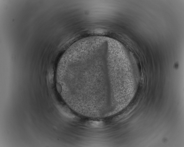 X0000100400552200807032016