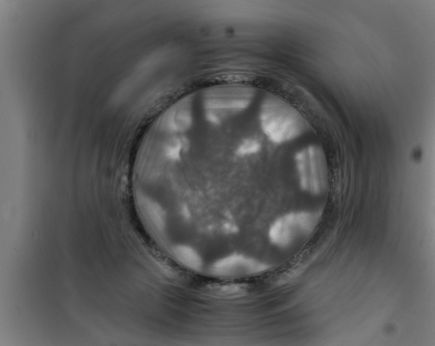 X0000100400553200807032016