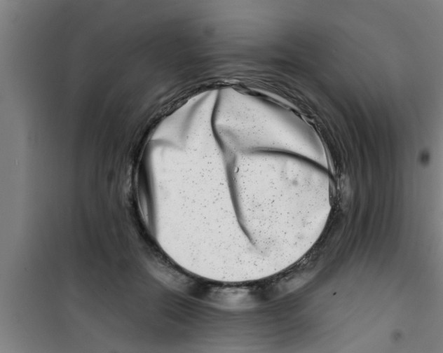 X0000100400554200807032016