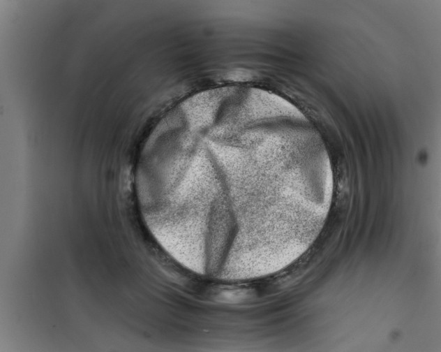 X0000100400555200807032016