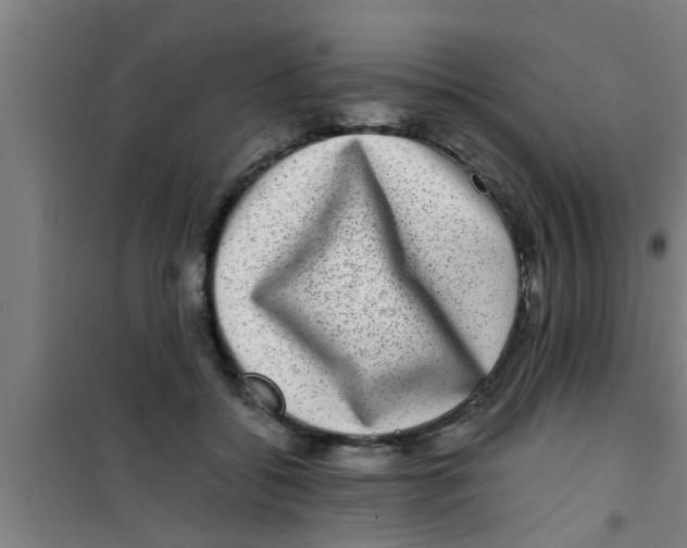 X0000100400556200807032016