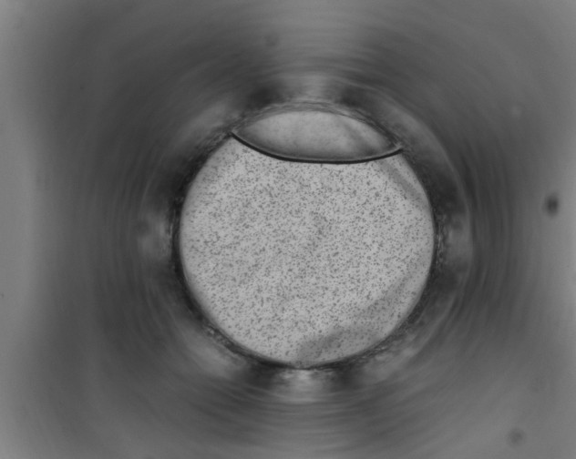 X0000100400558200807032016