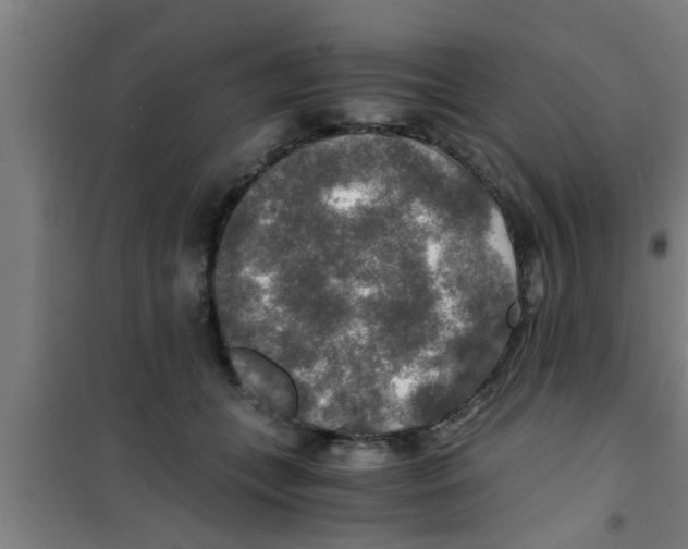 X0000100400559200807032016