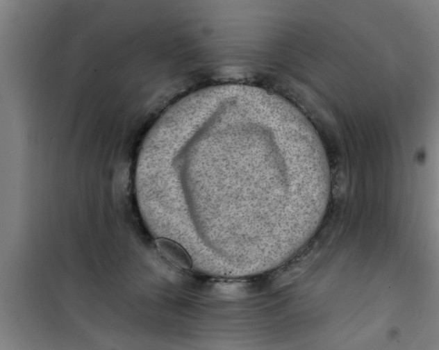 X0000100400560200807032016