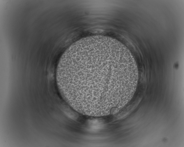 X0000100400561200807032016